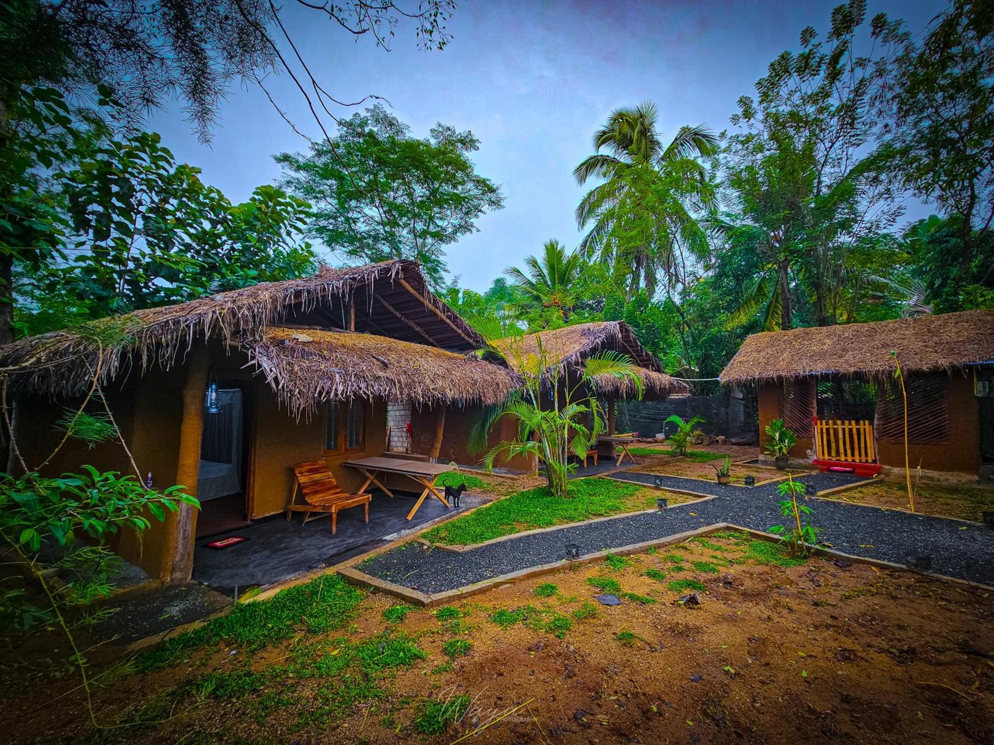 מלון אודוואלאווה Wild Safari Clay House מראה חיצוני תמונה